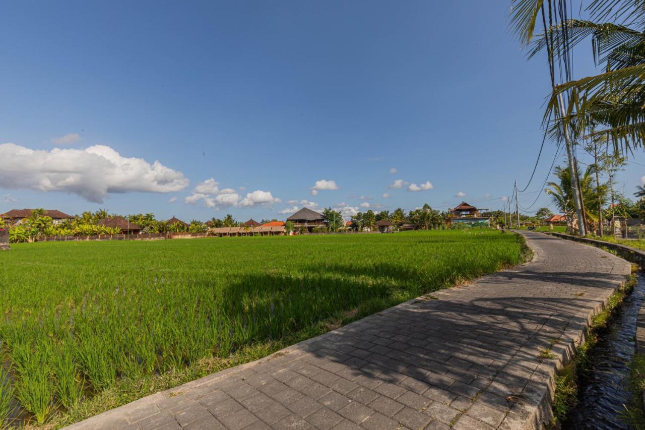 Niluh Private Villas Ubud Exteriér fotografie