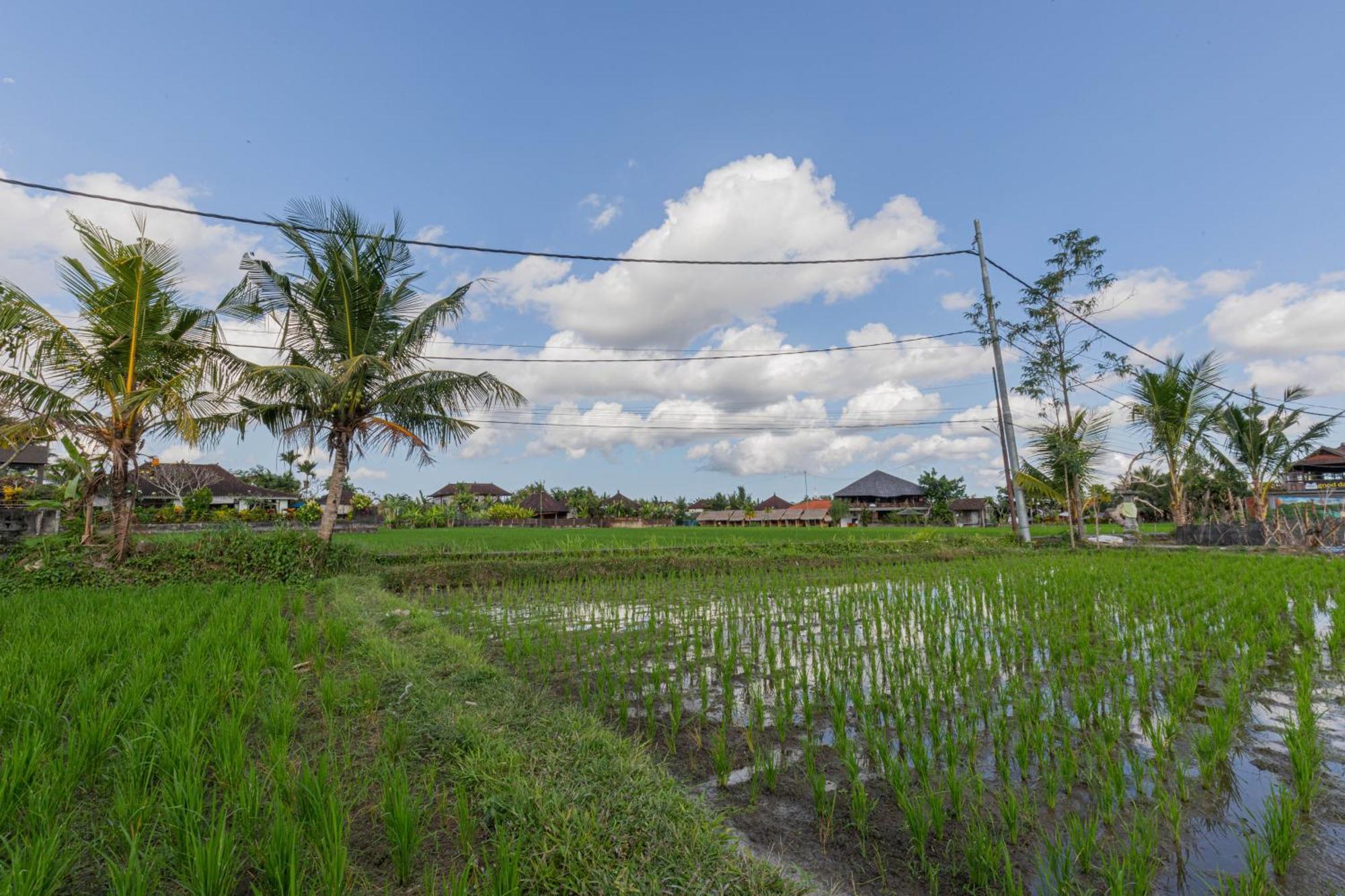 Niluh Private Villas Ubud Exteriér fotografie
